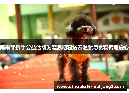 陈雨菲携手公益活动为流浪动物送去温暖与食物传递爱心