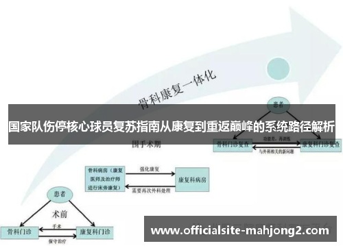 国家队伤停核心球员复苏指南从康复到重返巅峰的系统路径解析