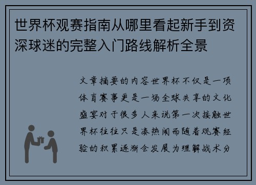 世界杯观赛指南从哪里看起新手到资深球迷的完整入门路线解析全景